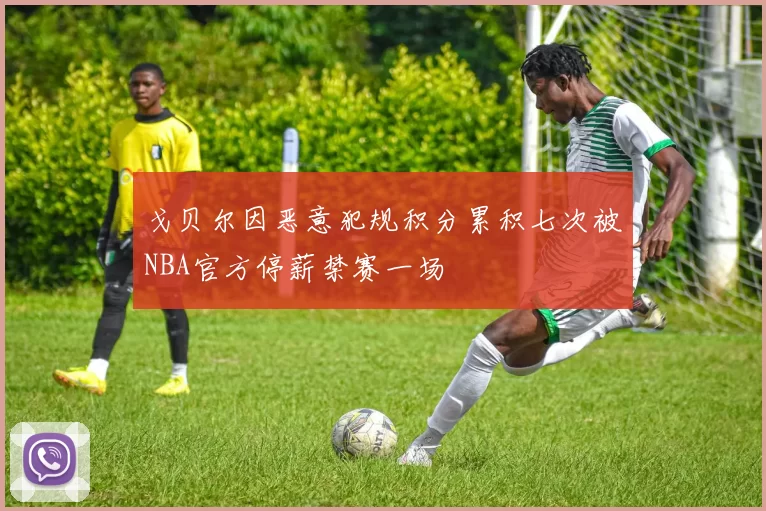 戈贝尔因恶意犯规积分累积七次被NBA官方停薪禁赛一场